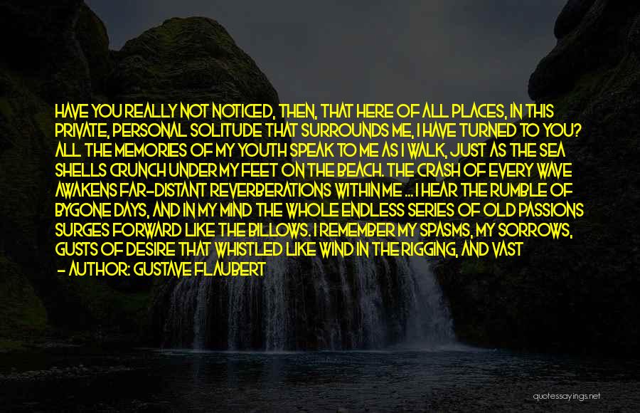 Gustave Flaubert Quotes: Have You Really Not Noticed, Then, That Here Of All Places, In This Private, Personal Solitude That Surrounds Me, I
