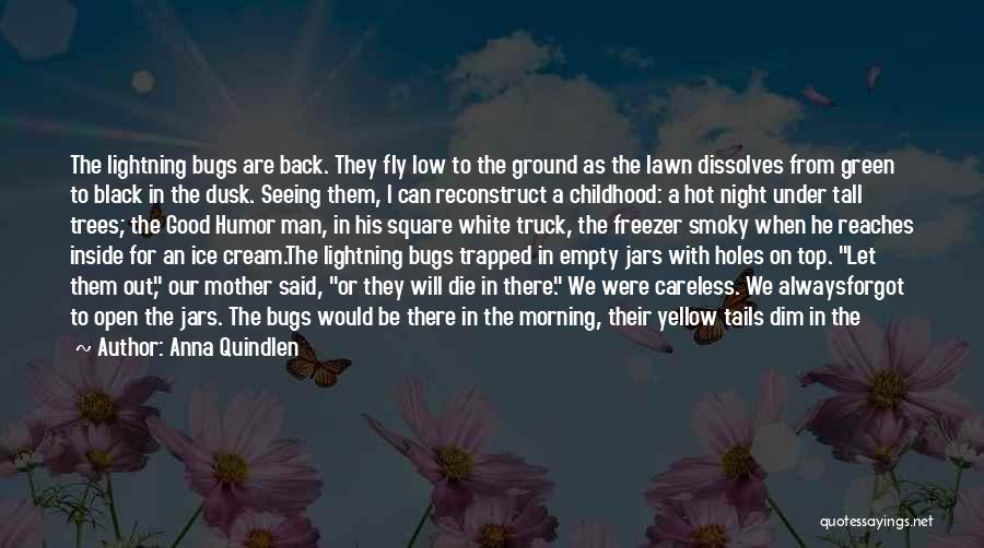 Anna Quindlen Quotes: The Lightning Bugs Are Back. They Fly Low To The Ground As The Lawn Dissolves From Green To Black In