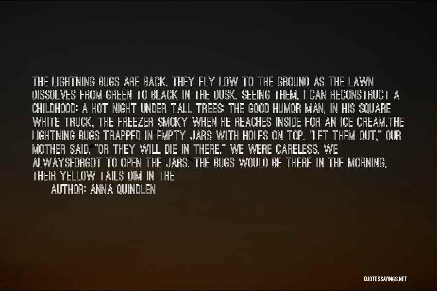 Anna Quindlen Quotes: The Lightning Bugs Are Back. They Fly Low To The Ground As The Lawn Dissolves From Green To Black In