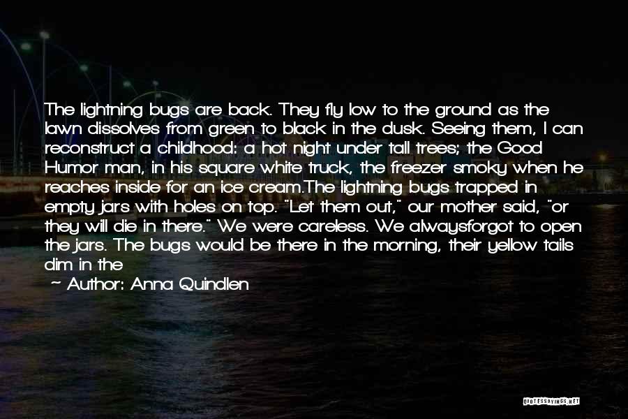 Anna Quindlen Quotes: The Lightning Bugs Are Back. They Fly Low To The Ground As The Lawn Dissolves From Green To Black In