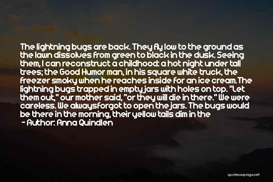 Anna Quindlen Quotes: The Lightning Bugs Are Back. They Fly Low To The Ground As The Lawn Dissolves From Green To Black In