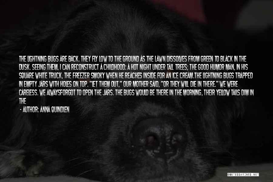 Anna Quindlen Quotes: The Lightning Bugs Are Back. They Fly Low To The Ground As The Lawn Dissolves From Green To Black In
