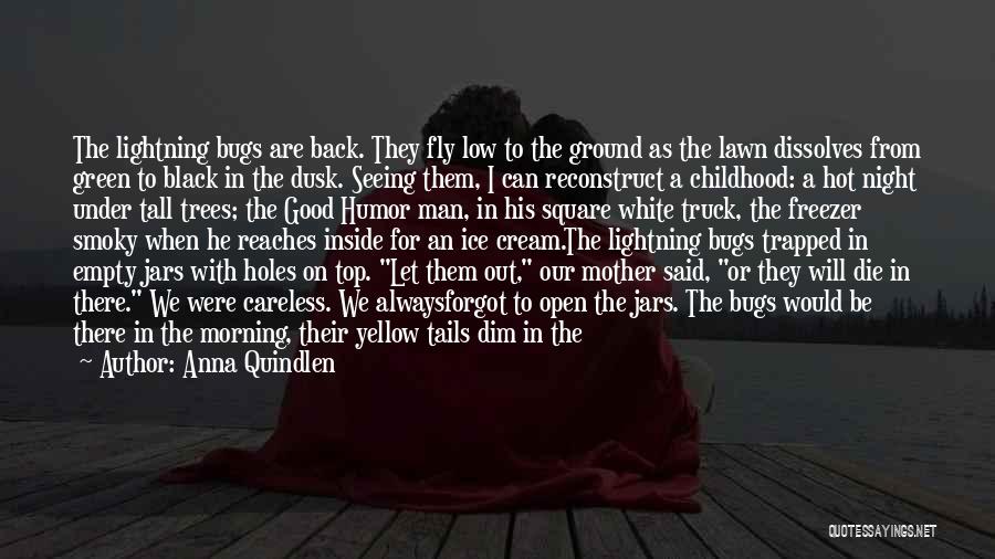 Anna Quindlen Quotes: The Lightning Bugs Are Back. They Fly Low To The Ground As The Lawn Dissolves From Green To Black In