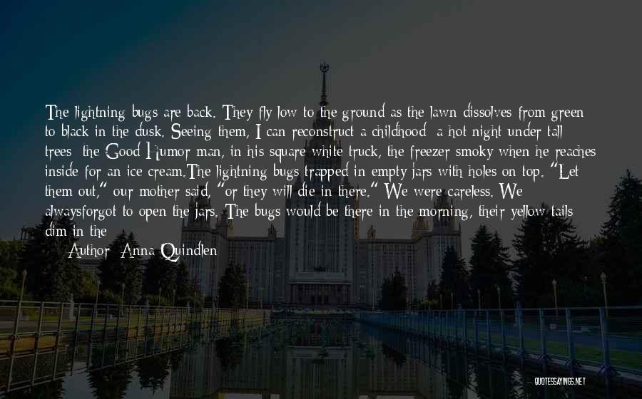 Anna Quindlen Quotes: The Lightning Bugs Are Back. They Fly Low To The Ground As The Lawn Dissolves From Green To Black In