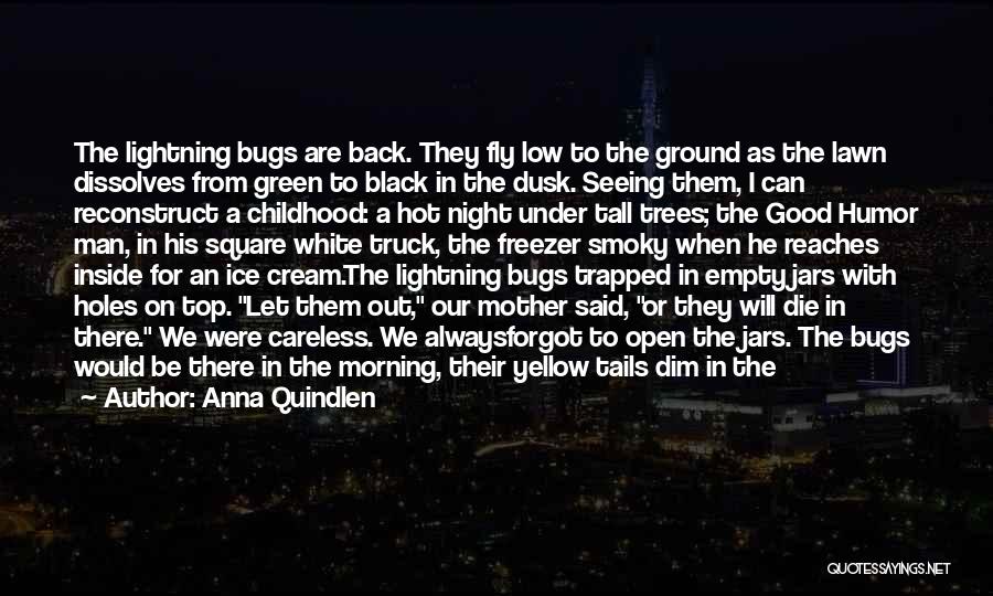 Anna Quindlen Quotes: The Lightning Bugs Are Back. They Fly Low To The Ground As The Lawn Dissolves From Green To Black In