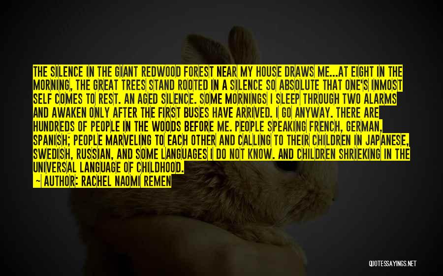 Rachel Naomi Remen Quotes: The Silence In The Giant Redwood Forest Near My House Draws Me...at Eight In The Morning, The Great Trees Stand