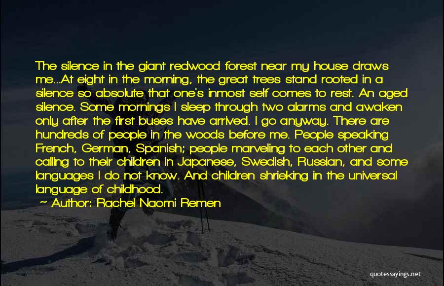 Rachel Naomi Remen Quotes: The Silence In The Giant Redwood Forest Near My House Draws Me...at Eight In The Morning, The Great Trees Stand