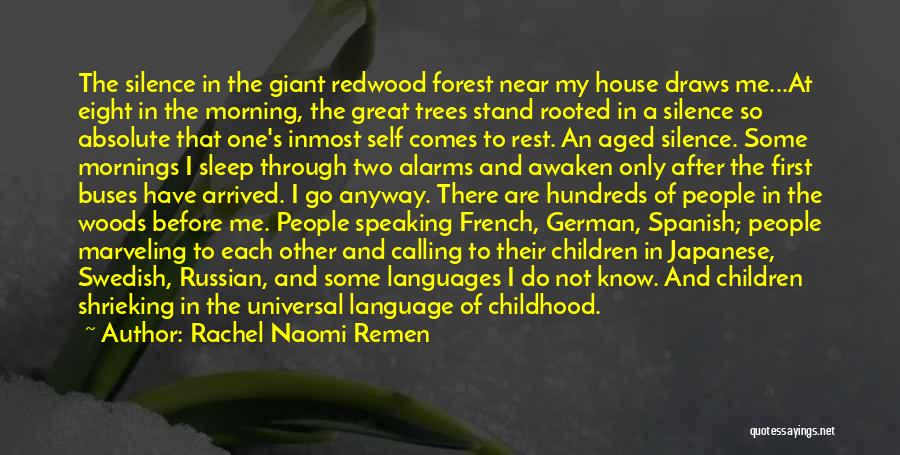 Rachel Naomi Remen Quotes: The Silence In The Giant Redwood Forest Near My House Draws Me...at Eight In The Morning, The Great Trees Stand