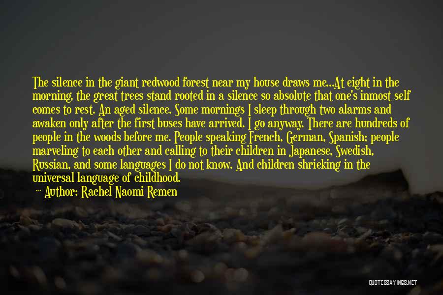 Rachel Naomi Remen Quotes: The Silence In The Giant Redwood Forest Near My House Draws Me...at Eight In The Morning, The Great Trees Stand