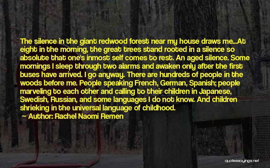 Rachel Naomi Remen Quotes: The Silence In The Giant Redwood Forest Near My House Draws Me...at Eight In The Morning, The Great Trees Stand