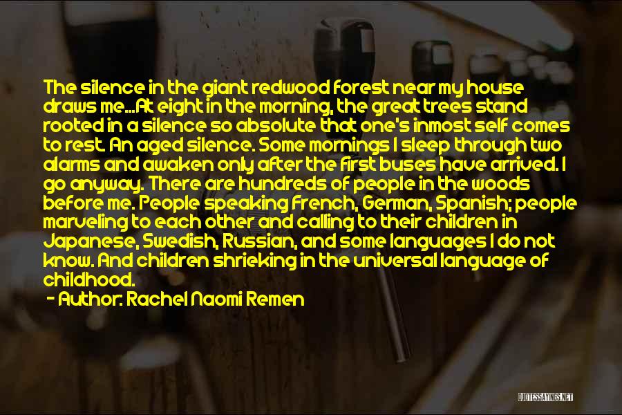 Rachel Naomi Remen Quotes: The Silence In The Giant Redwood Forest Near My House Draws Me...at Eight In The Morning, The Great Trees Stand