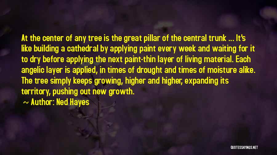 Ned Hayes Quotes: At The Center Of Any Tree Is The Great Pillar Of The Central Trunk ... It's Like Building A Cathedral