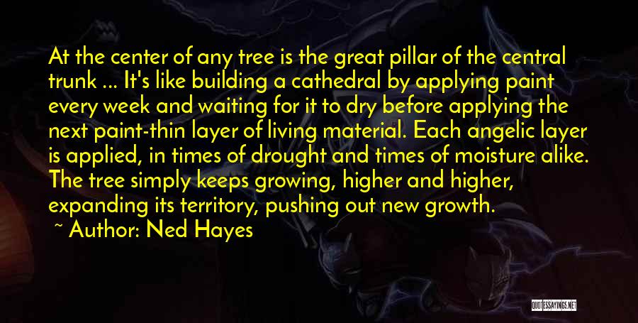 Ned Hayes Quotes: At The Center Of Any Tree Is The Great Pillar Of The Central Trunk ... It's Like Building A Cathedral