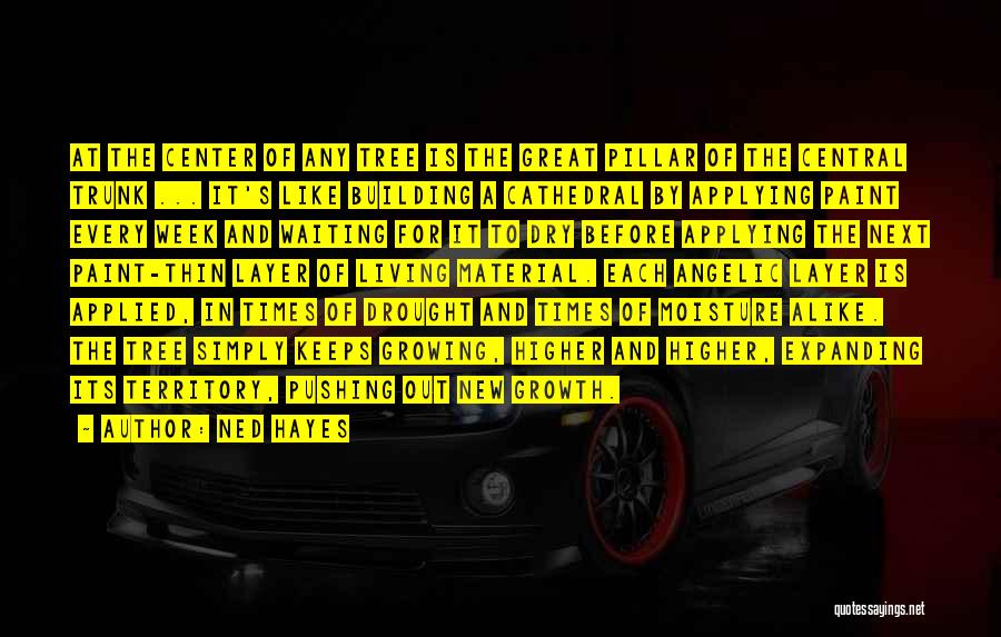 Ned Hayes Quotes: At The Center Of Any Tree Is The Great Pillar Of The Central Trunk ... It's Like Building A Cathedral