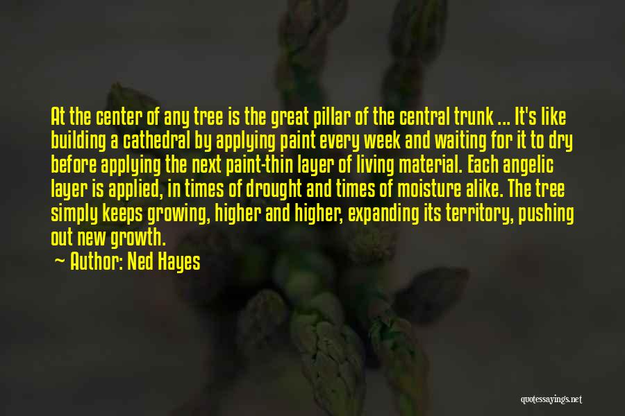 Ned Hayes Quotes: At The Center Of Any Tree Is The Great Pillar Of The Central Trunk ... It's Like Building A Cathedral