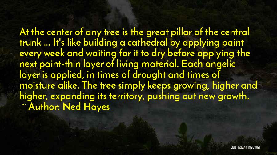 Ned Hayes Quotes: At The Center Of Any Tree Is The Great Pillar Of The Central Trunk ... It's Like Building A Cathedral