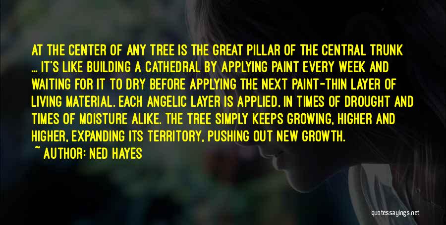 Ned Hayes Quotes: At The Center Of Any Tree Is The Great Pillar Of The Central Trunk ... It's Like Building A Cathedral