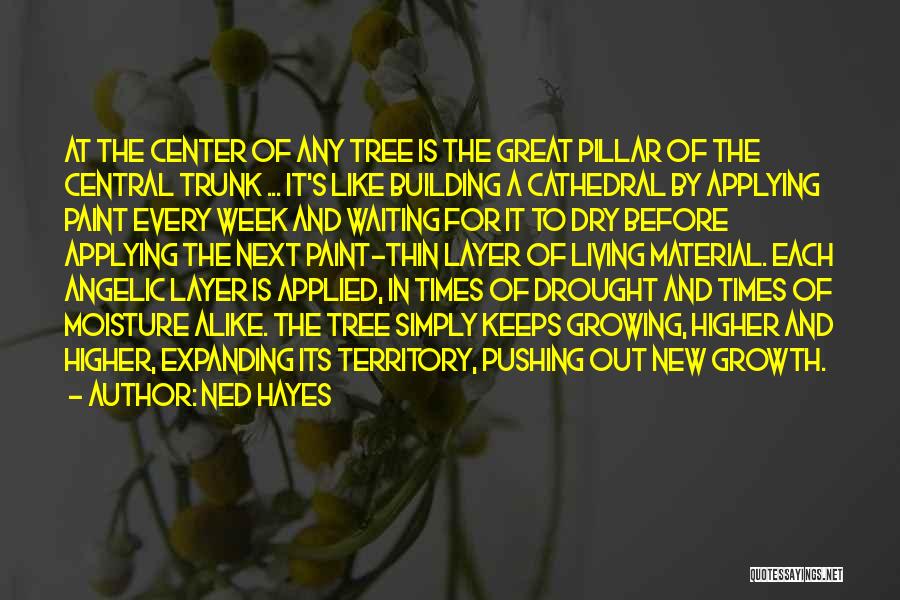 Ned Hayes Quotes: At The Center Of Any Tree Is The Great Pillar Of The Central Trunk ... It's Like Building A Cathedral