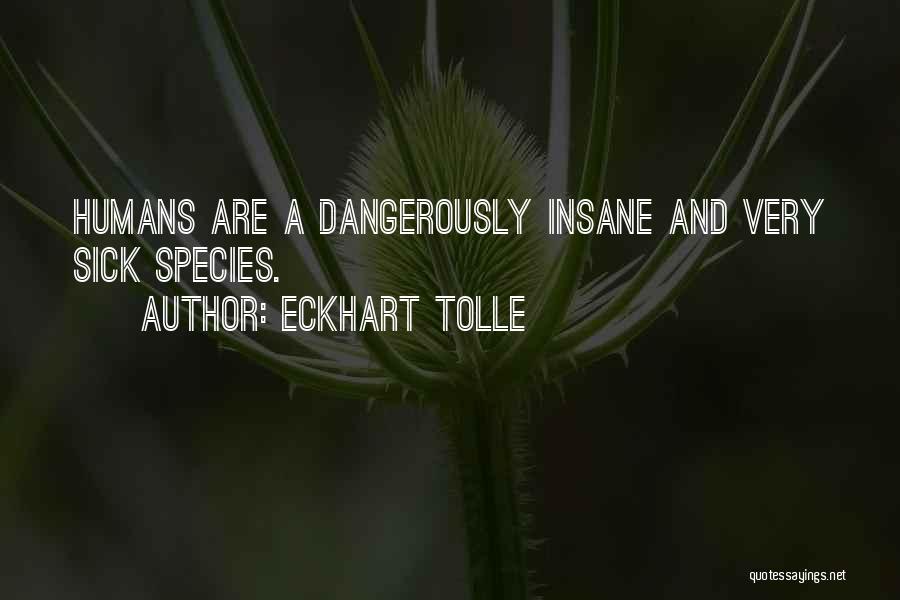 Eckhart Tolle Quotes: Humans Are A Dangerously Insane And Very Sick Species.
