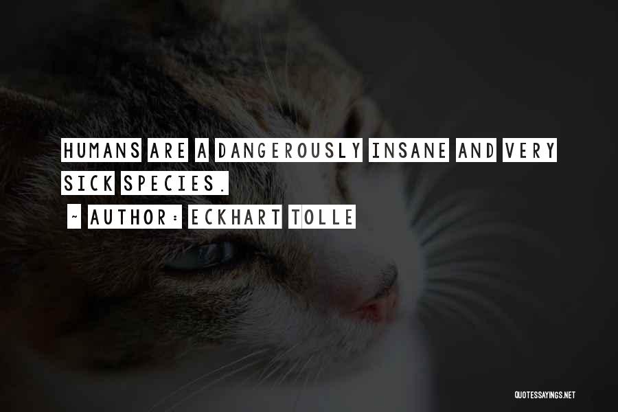 Eckhart Tolle Quotes: Humans Are A Dangerously Insane And Very Sick Species.
