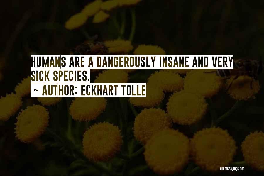 Eckhart Tolle Quotes: Humans Are A Dangerously Insane And Very Sick Species.