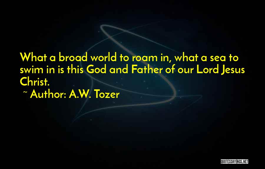 A.W. Tozer Quotes: What A Broad World To Roam In, What A Sea To Swim In Is This God And Father Of Our