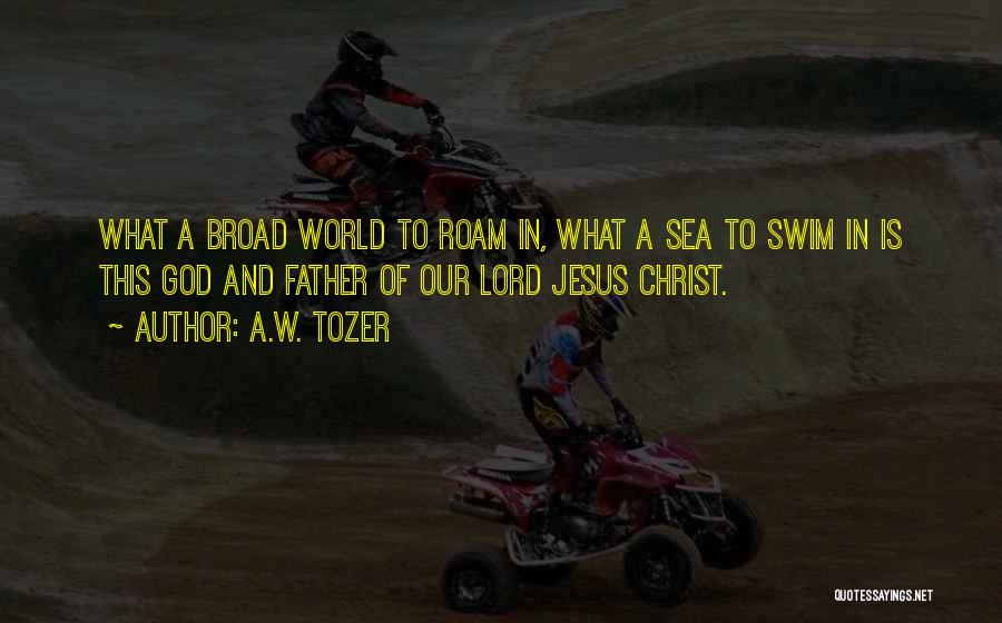 A.W. Tozer Quotes: What A Broad World To Roam In, What A Sea To Swim In Is This God And Father Of Our