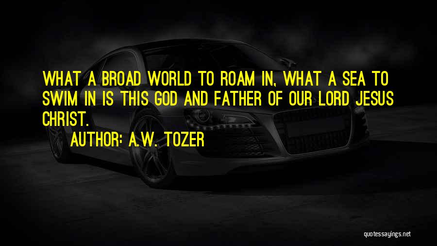 A.W. Tozer Quotes: What A Broad World To Roam In, What A Sea To Swim In Is This God And Father Of Our