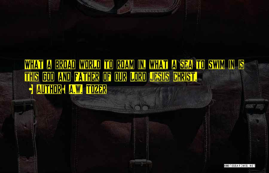 A.W. Tozer Quotes: What A Broad World To Roam In, What A Sea To Swim In Is This God And Father Of Our