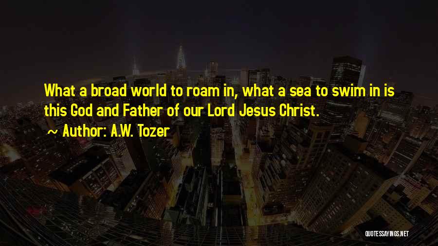A.W. Tozer Quotes: What A Broad World To Roam In, What A Sea To Swim In Is This God And Father Of Our