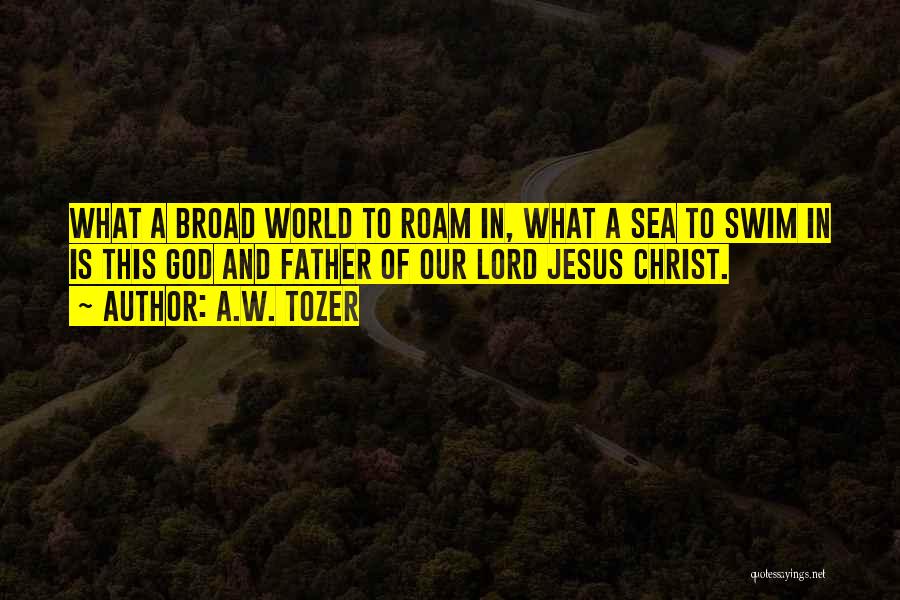 A.W. Tozer Quotes: What A Broad World To Roam In, What A Sea To Swim In Is This God And Father Of Our