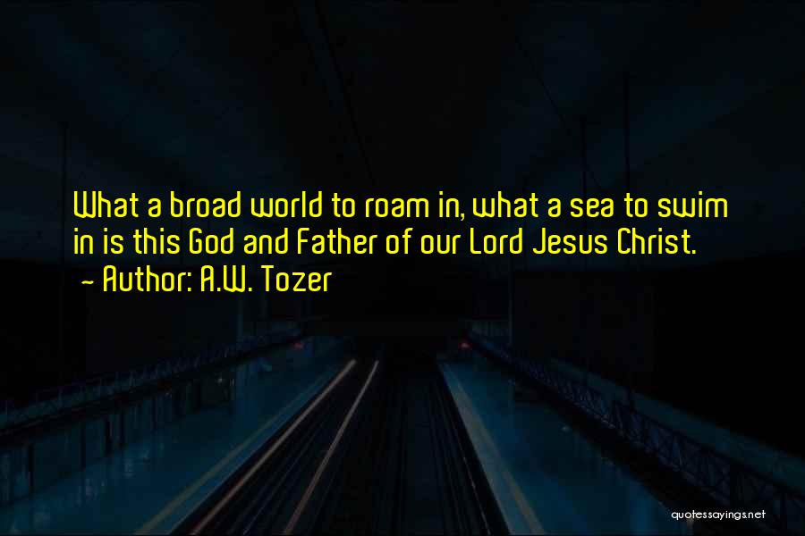 A.W. Tozer Quotes: What A Broad World To Roam In, What A Sea To Swim In Is This God And Father Of Our