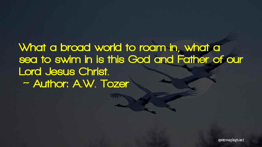 A.W. Tozer Quotes: What A Broad World To Roam In, What A Sea To Swim In Is This God And Father Of Our