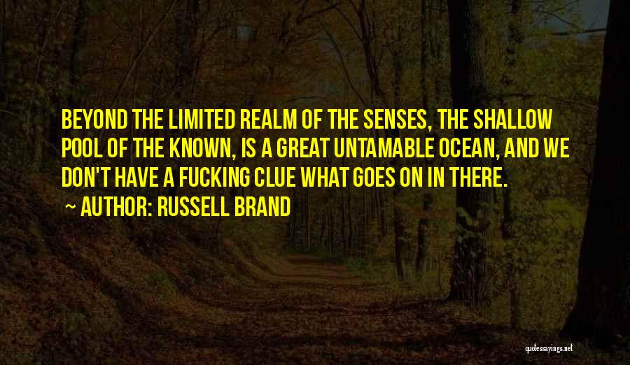 Russell Brand Quotes: Beyond The Limited Realm Of The Senses, The Shallow Pool Of The Known, Is A Great Untamable Ocean, And We