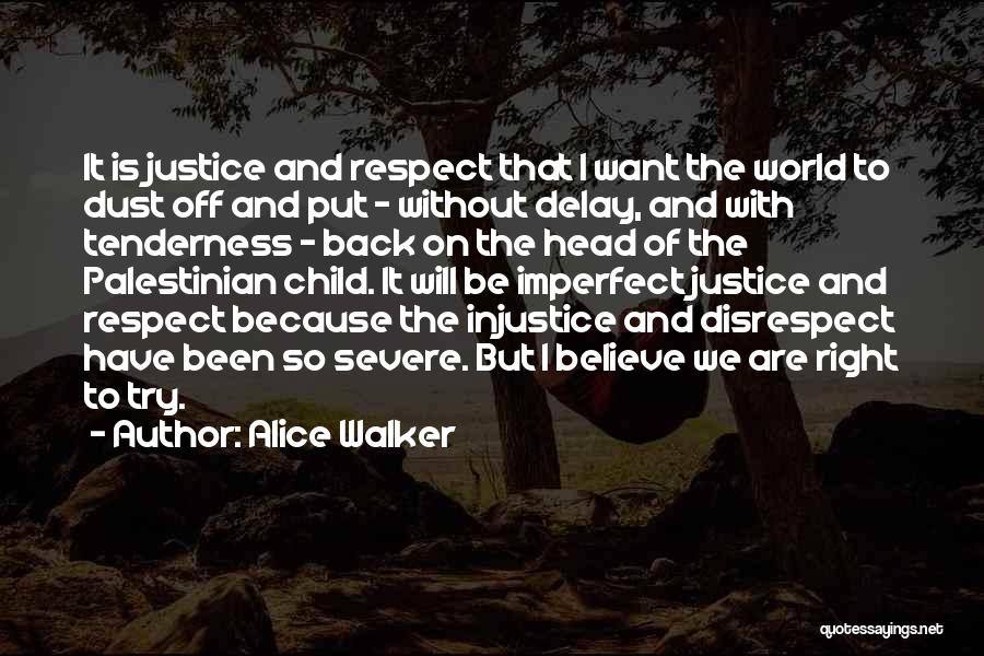 Alice Walker Quotes: It Is Justice And Respect That I Want The World To Dust Off And Put - Without Delay, And With