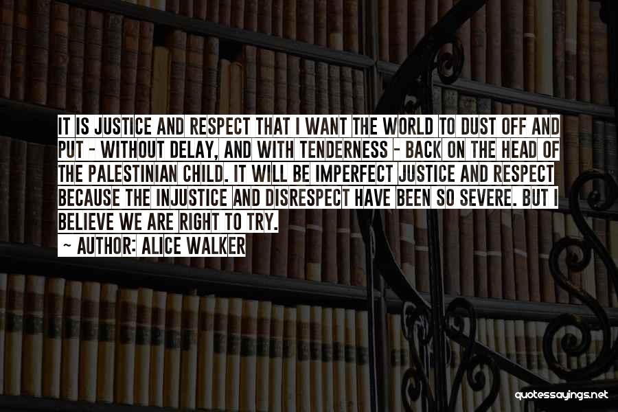Alice Walker Quotes: It Is Justice And Respect That I Want The World To Dust Off And Put - Without Delay, And With