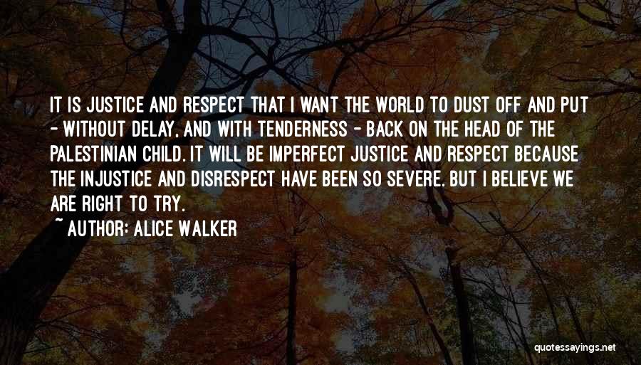 Alice Walker Quotes: It Is Justice And Respect That I Want The World To Dust Off And Put - Without Delay, And With