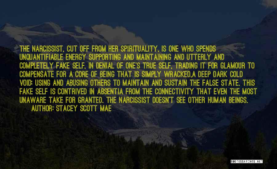 Stacey Scott Mae Quotes: The Narcissist, Cut Off From Her Spirituality, Is One Who Spends Unquantifiable Energy Supporting And Maintaining And Utterly And Completely