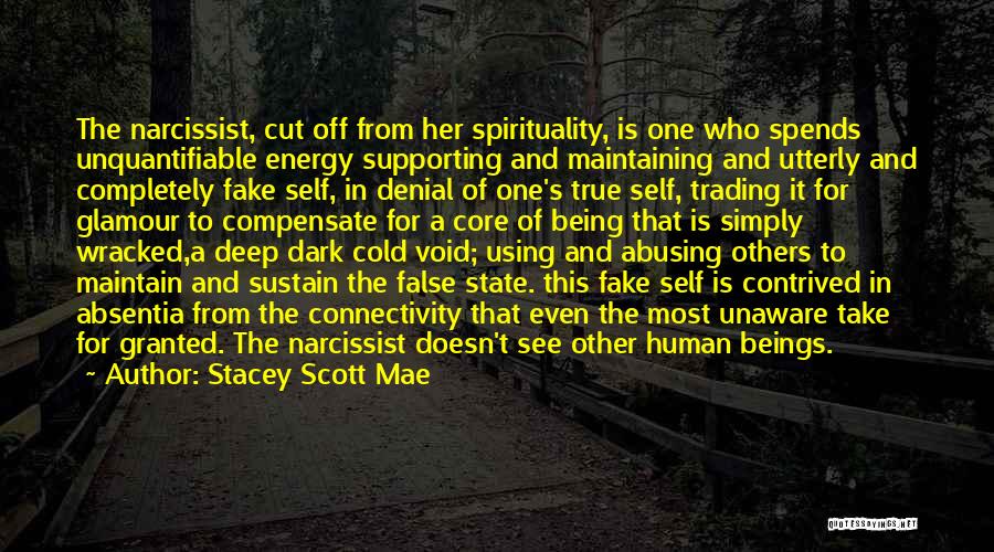 Stacey Scott Mae Quotes: The Narcissist, Cut Off From Her Spirituality, Is One Who Spends Unquantifiable Energy Supporting And Maintaining And Utterly And Completely