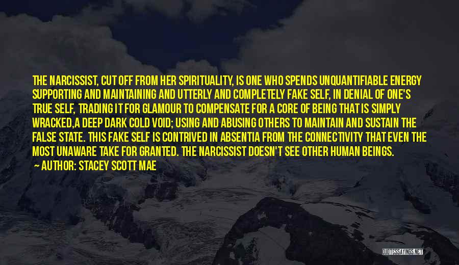 Stacey Scott Mae Quotes: The Narcissist, Cut Off From Her Spirituality, Is One Who Spends Unquantifiable Energy Supporting And Maintaining And Utterly And Completely