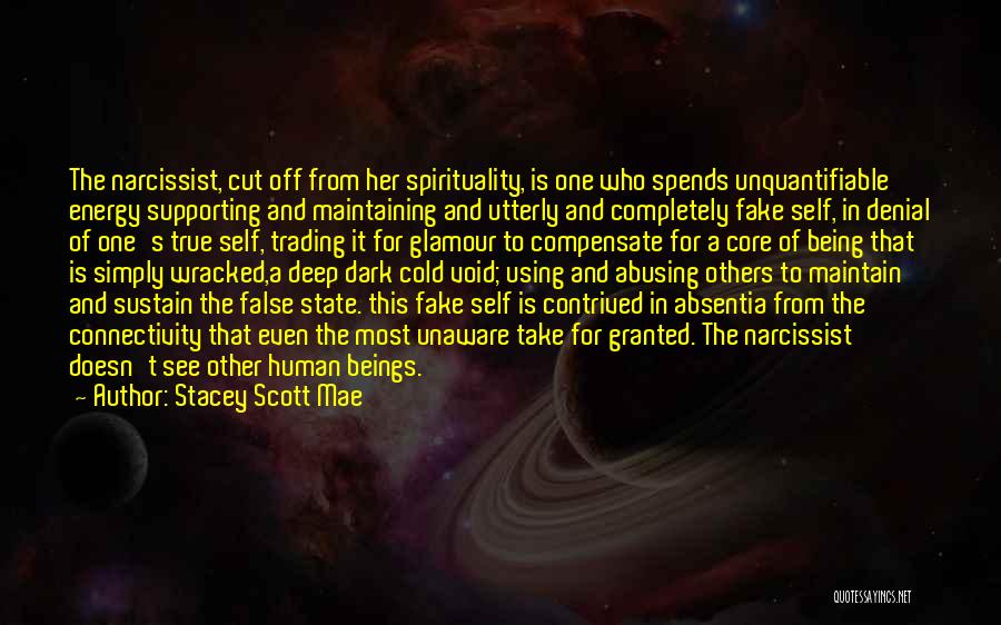 Stacey Scott Mae Quotes: The Narcissist, Cut Off From Her Spirituality, Is One Who Spends Unquantifiable Energy Supporting And Maintaining And Utterly And Completely