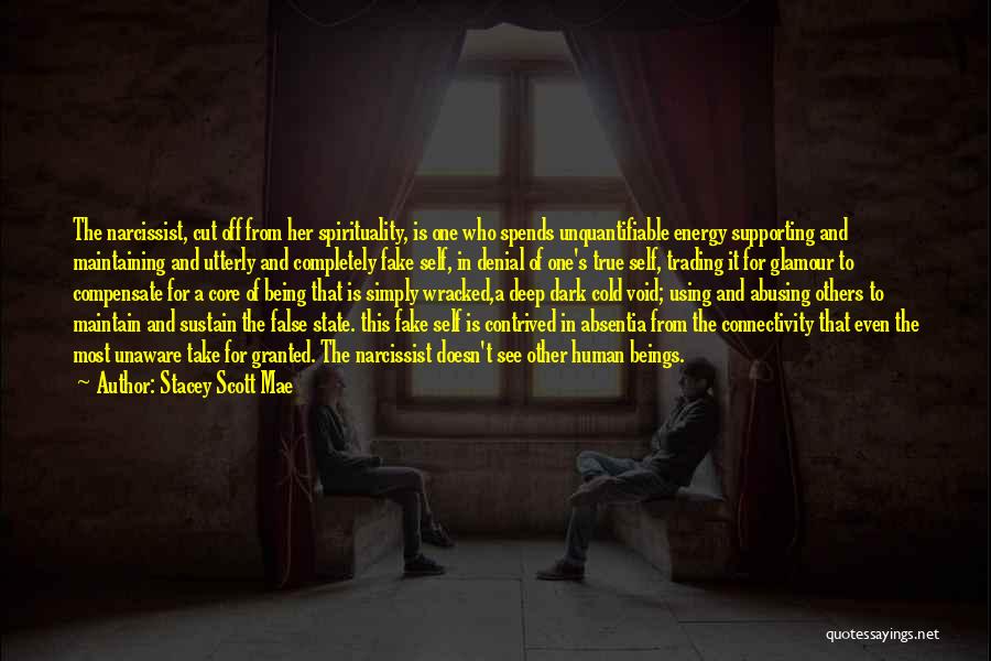 Stacey Scott Mae Quotes: The Narcissist, Cut Off From Her Spirituality, Is One Who Spends Unquantifiable Energy Supporting And Maintaining And Utterly And Completely