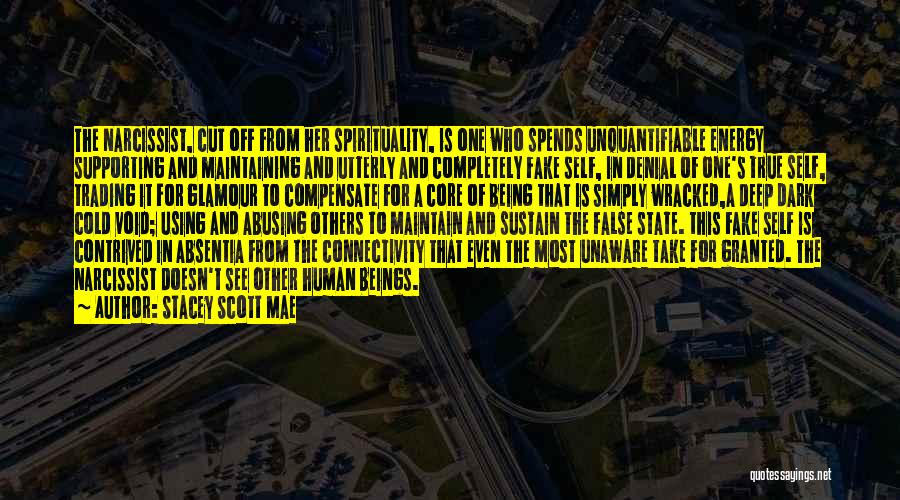 Stacey Scott Mae Quotes: The Narcissist, Cut Off From Her Spirituality, Is One Who Spends Unquantifiable Energy Supporting And Maintaining And Utterly And Completely