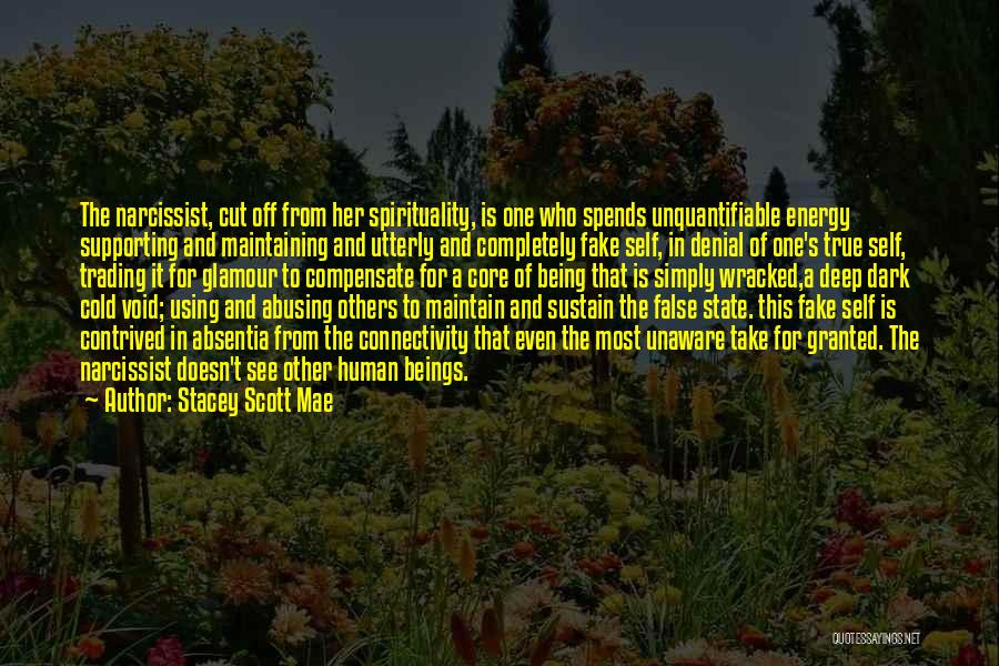 Stacey Scott Mae Quotes: The Narcissist, Cut Off From Her Spirituality, Is One Who Spends Unquantifiable Energy Supporting And Maintaining And Utterly And Completely