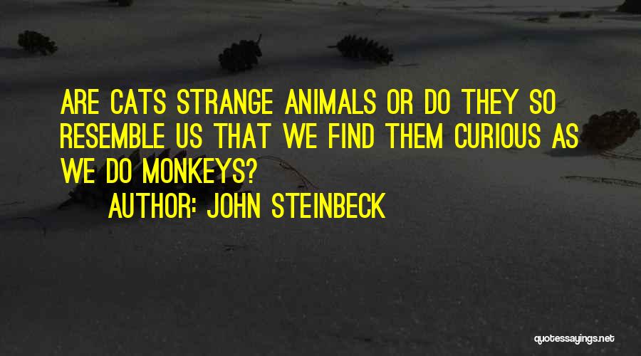 John Steinbeck Quotes: Are Cats Strange Animals Or Do They So Resemble Us That We Find Them Curious As We Do Monkeys?