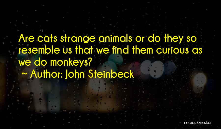 John Steinbeck Quotes: Are Cats Strange Animals Or Do They So Resemble Us That We Find Them Curious As We Do Monkeys?