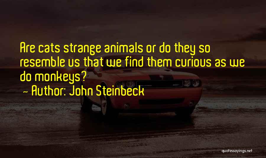 John Steinbeck Quotes: Are Cats Strange Animals Or Do They So Resemble Us That We Find Them Curious As We Do Monkeys?