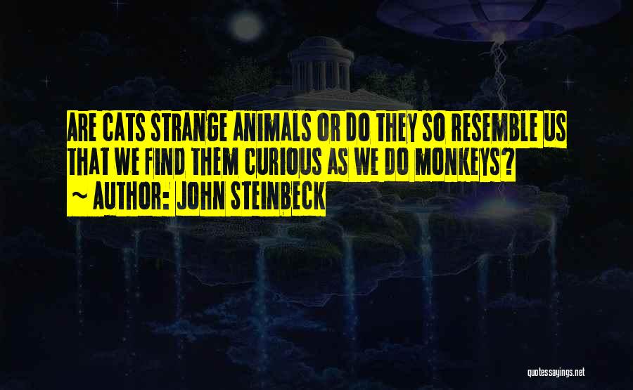 John Steinbeck Quotes: Are Cats Strange Animals Or Do They So Resemble Us That We Find Them Curious As We Do Monkeys?