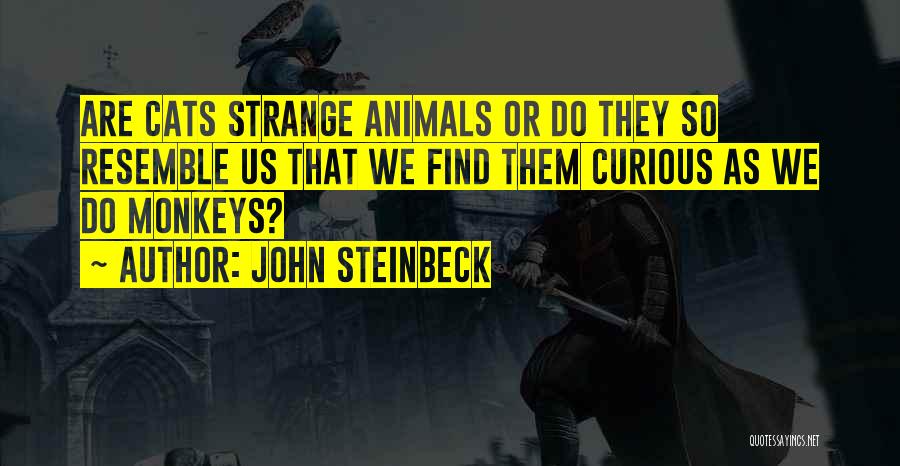 John Steinbeck Quotes: Are Cats Strange Animals Or Do They So Resemble Us That We Find Them Curious As We Do Monkeys?