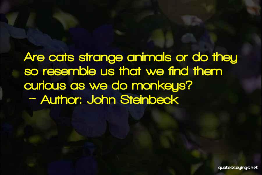 John Steinbeck Quotes: Are Cats Strange Animals Or Do They So Resemble Us That We Find Them Curious As We Do Monkeys?